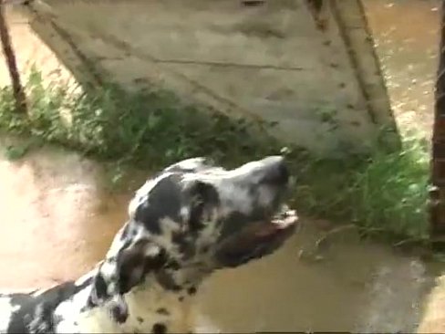 Порно Видео Вероники Земановой Онлайн